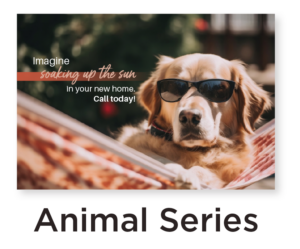 Sample postcard of dog with sunglasses for animal series postcards