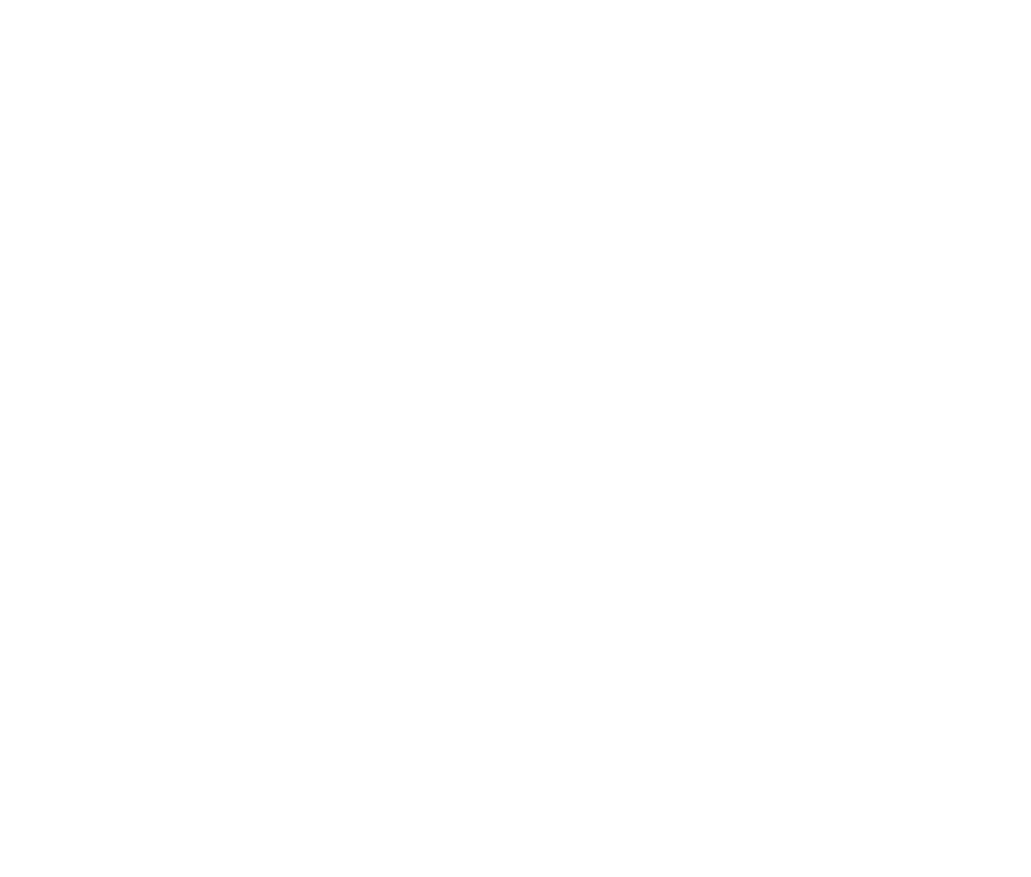 Welcome House white logo