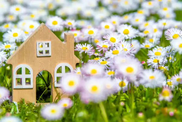 Spring Market Momentum: How Agents Are Winning Right Now